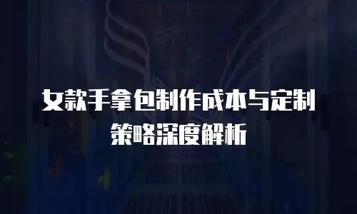 女款手拿包制作成本与定制策略深度解析