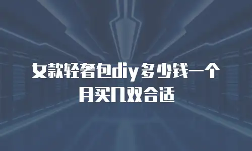 女款轻奢包diy多少钱一个月买几双合适
