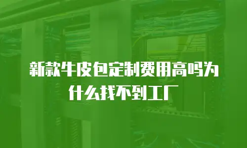 新款牛皮包定制费用高吗为什么找不到工厂