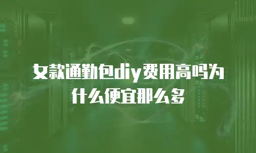 女款通勤包diy费用高吗为什么便宜那么多