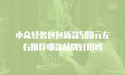 小众轻奢包包新款500元左右推荐哪款品牌好用吗