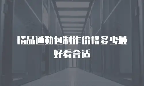 精品通勤包制作价格多少最好看合适