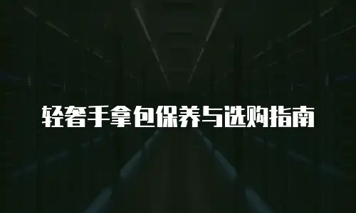 轻奢手拿包保养与选购指南