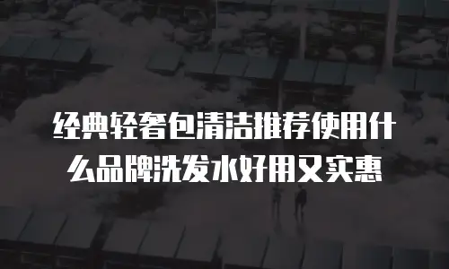经典轻奢包清洁推荐使用什么品牌洗发水好用又实惠