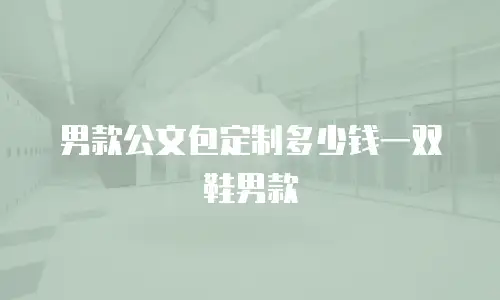 男款公文包定制多少钱一双鞋男款