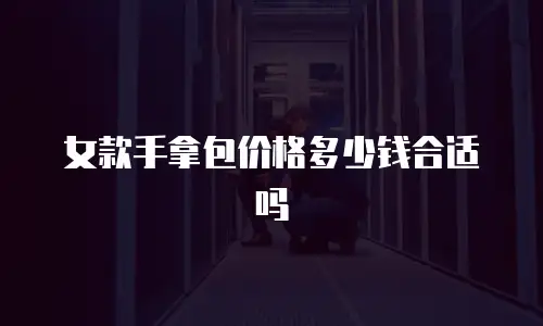 女款手拿包价格多少钱合适吗