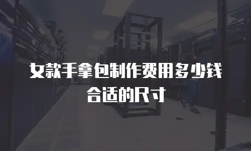 女款手拿包制作费用多少钱合适的尺寸
