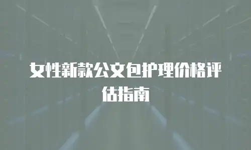 女性新款公文包护理价格评估指南