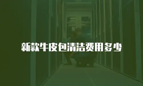 新款牛皮包清洁费用多少
