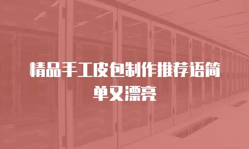 精品手工皮包制作推荐语简单又漂亮
