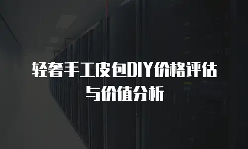 轻奢手工皮包DIY价格评估与价值分析