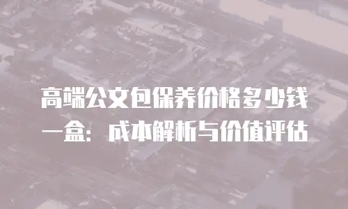 高端公文包保养价格多少钱一盒：成本解析与价值评估