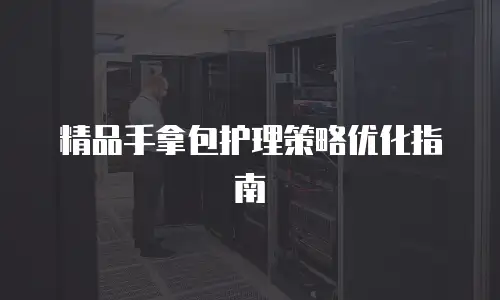 精品手拿包护理策略优化指南