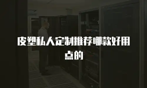 皮塑私人定制推荐哪款好用点的