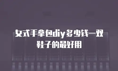 女式手拿包diy多少钱一双鞋子的最好用