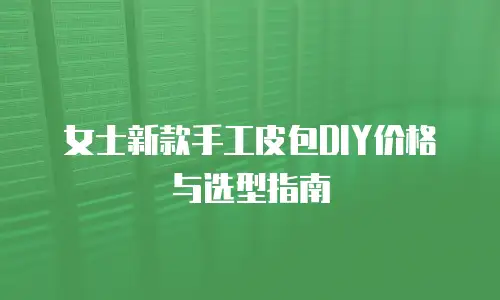 女士新款手工皮包DIY价格与选型指南