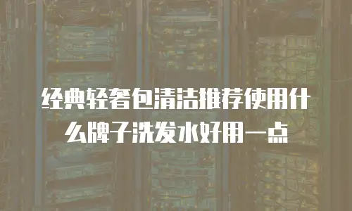 经典轻奢包清洁推荐使用什么牌子洗发水好用一点
