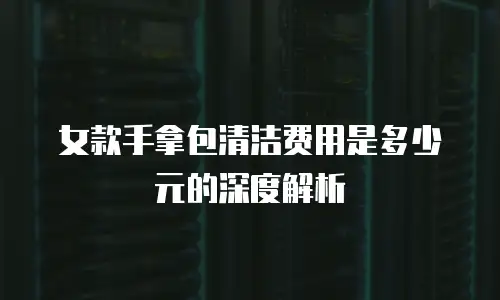 女款手拿包清洁费用是多少元的深度解析