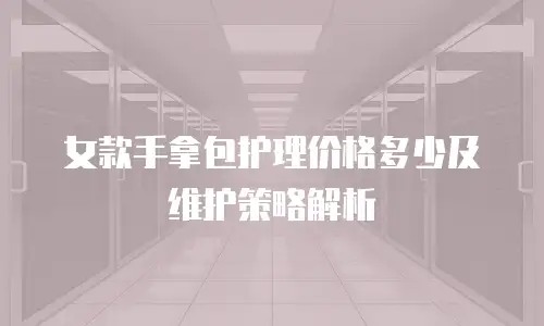女款手拿包护理价格多少及维护策略解析