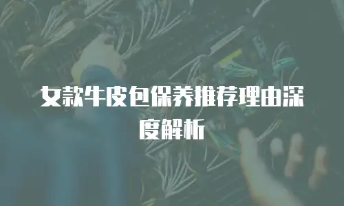 女款牛皮包保养推荐理由深度解析