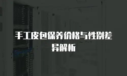 手工皮包保养价格与性别差异解析