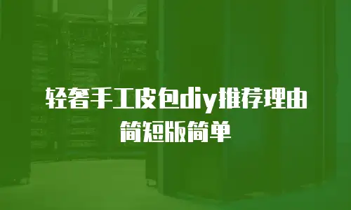 轻奢手工皮包diy推荐理由简短版简单