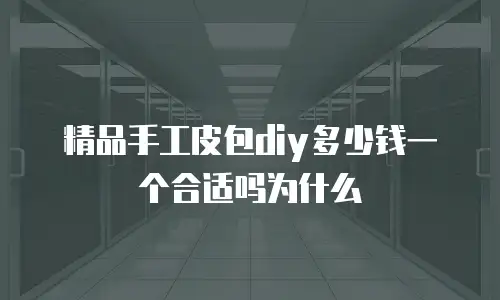 精品手工皮包diy多少钱一个合适吗为什么