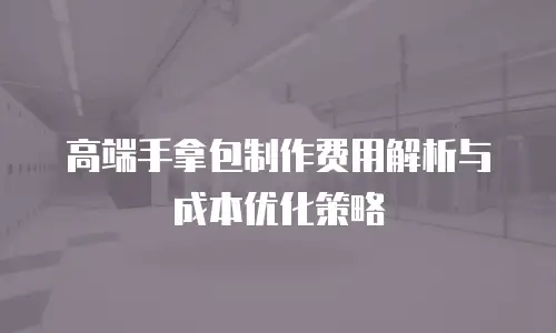 高端手拿包制作费用解析与成本优化策略