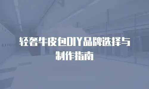 轻奢牛皮包DIY品牌选择与制作指南