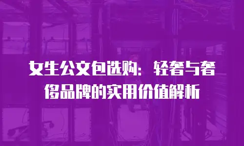 女生公文包选购：轻奢与奢侈品牌的实用价值解析