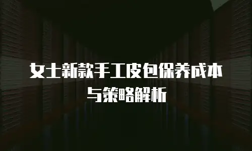 女士新款手工皮包保养成本与策略解析