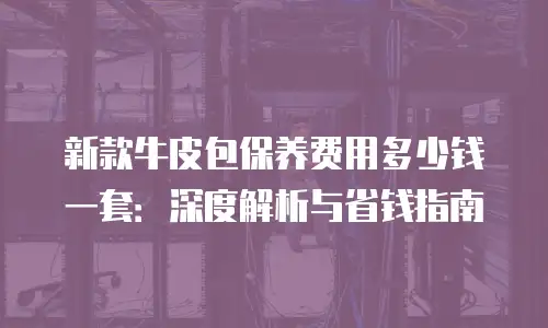 新款牛皮包保养费用多少钱一套：深度解析与省钱指南