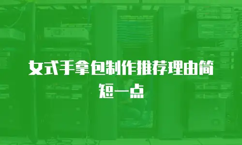 女式手拿包制作推荐理由简短一点