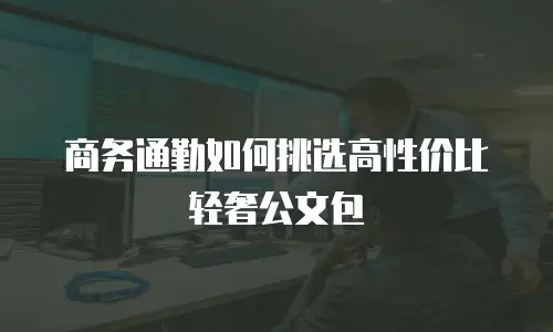 商务通勤如何挑选高性价比轻奢公文包