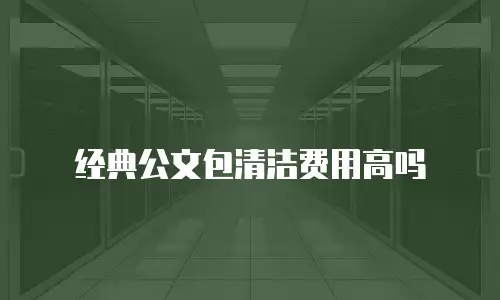 经典公文包清洁费用高吗