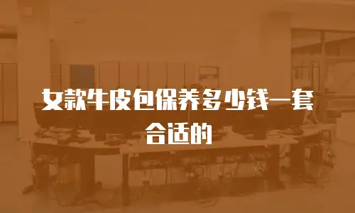 女款牛皮包保养多少钱一套合适的