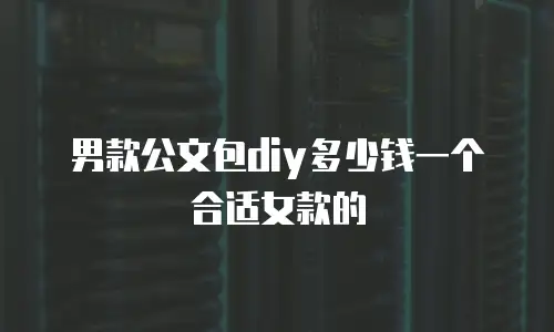 男款公文包diy多少钱一个合适女款的