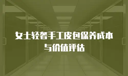 女士轻奢手工皮包保养成本与价值评估