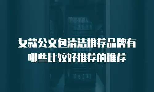 女款公文包清洁推荐品牌有哪些比较好推荐的推荐