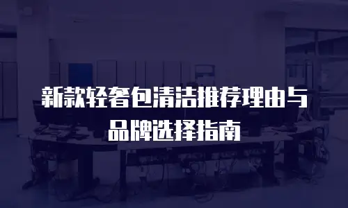 新款轻奢包清洁推荐理由与品牌选择指南
