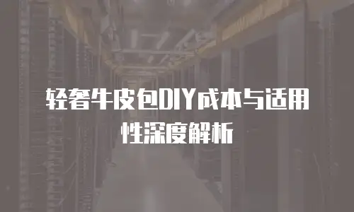 轻奢牛皮包DIY成本与适用性深度解析