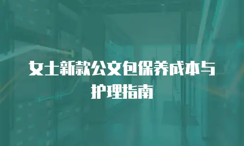 女士新款公文包保养成本与护理指南