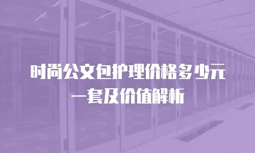 时尚公文包护理价格多少元一套及价值解析