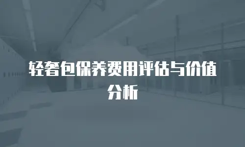 轻奢包保养费用评估与价值分析
