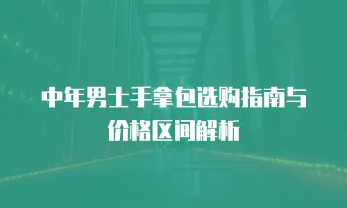 中年男士手拿包选购指南与价格区间解析