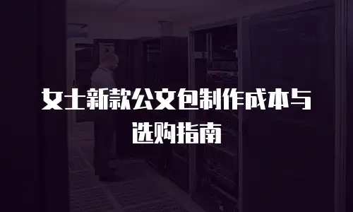 女士新款公文包制作成本与选购指南