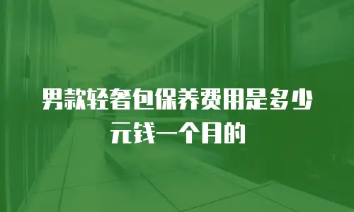男款轻奢包保养费用是多少元钱一个月的