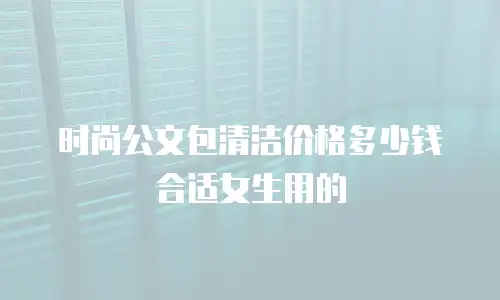 时尚公文包清洁价格多少钱合适女生用的