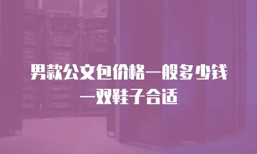男款公文包价格一般多少钱一双鞋子合适