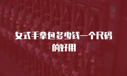 女式手拿包多少钱一个尺码的好用